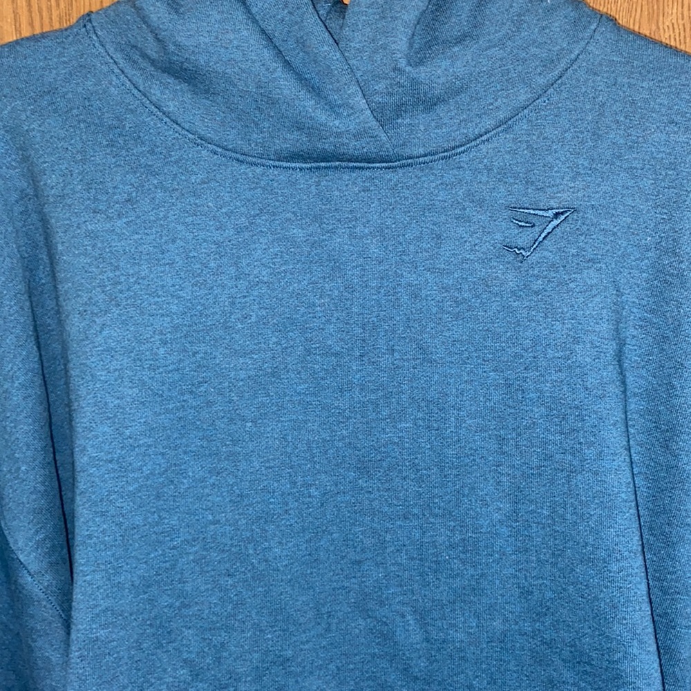 Blue Gym Shark Hoodie